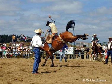 rodeo