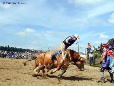 rodeo
