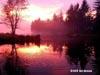 Northwest-Beauty