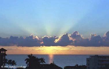 Sunburst