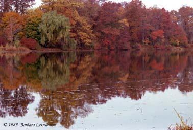 autumn-reflections