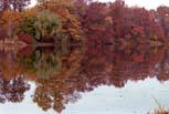 autumn-reflections