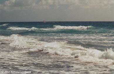 Rough-Seas