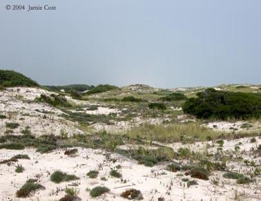 dunes