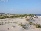 september-dunes