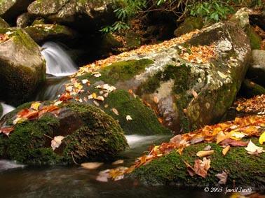 autumn-stream