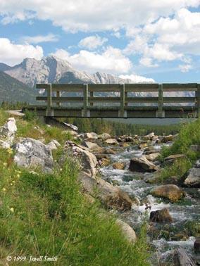 bridge