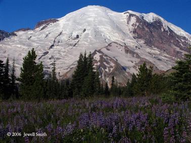 mt-rainier