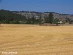 montana