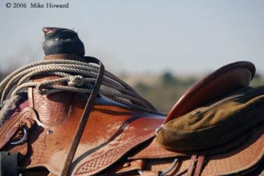 saddle
