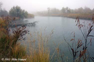 fall-fog