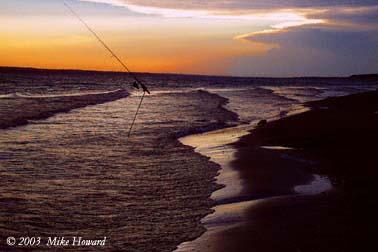 gone-fishin